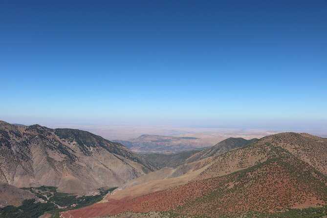 Cooking Class With Berber Family and Camel Rides - Highlights of the Tour