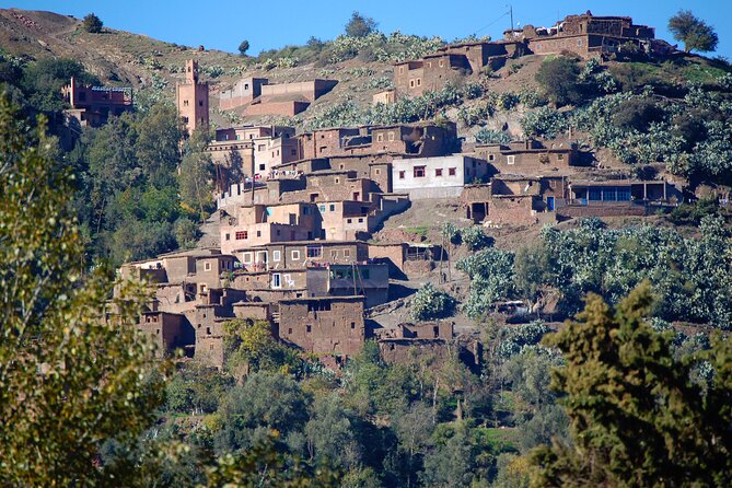 Cooking Class With Berber Family and Camel Rides - Practical Information