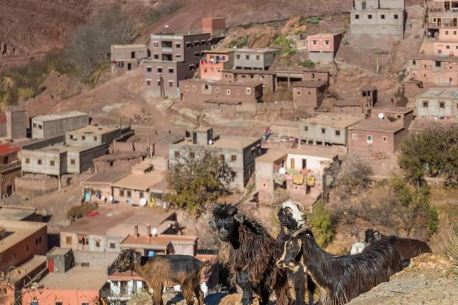 Cooking Class With Berbers in Atlas Mountain Day Trip From Marrakech to Imlil - Berber Cooking Experience