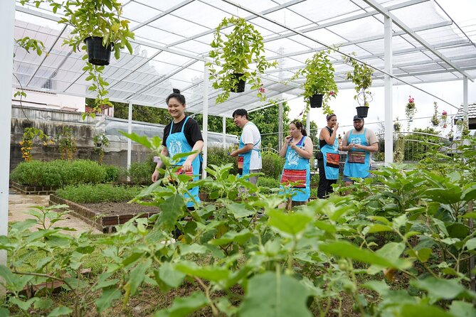 Cooking Class With Organic Farm in Chiang Mai at Mama Noi - Whats Included