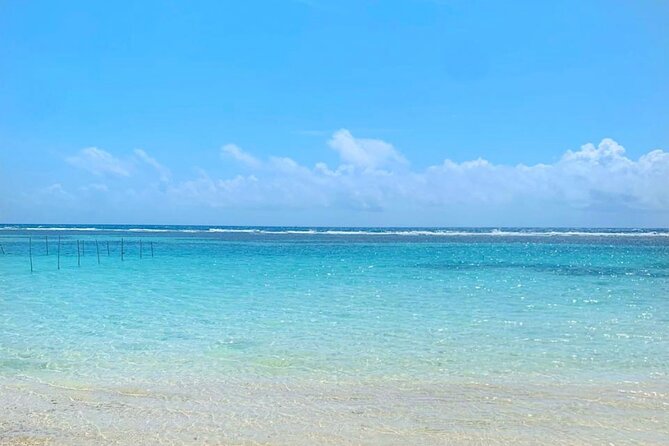 Cooking Class+Food&Drinks+Massage+Snorkel by La Chilangaloense - Included Experiences