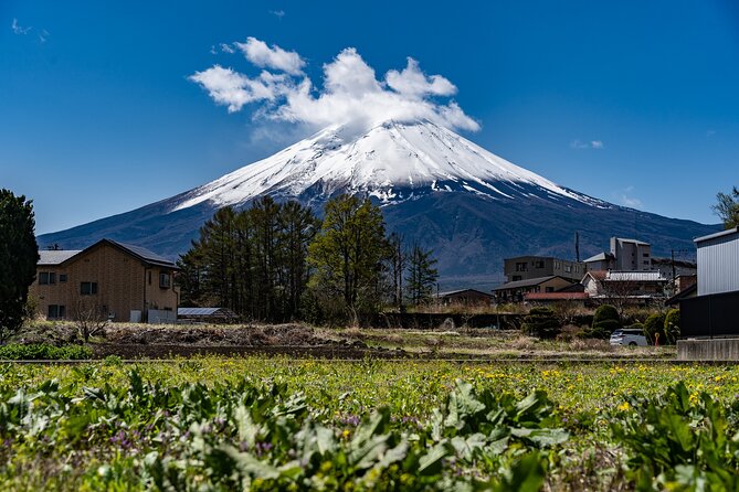 Cooking Hoto Udon Noodle Tour in Mt.Fuji Area From Tokyo - Accessibility and Fitness Requirements