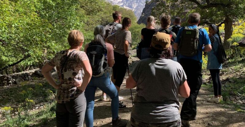 Cooking in the Mountains: A Culinary Adventure in Imlil - Key Points