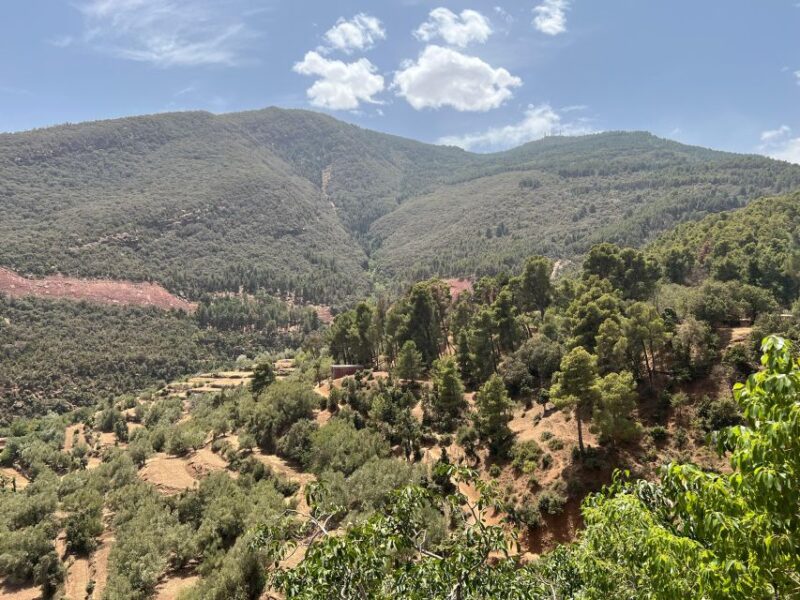 Cooking in the Mountains: A Culinary Adventure in Imlil - Experience Highlights