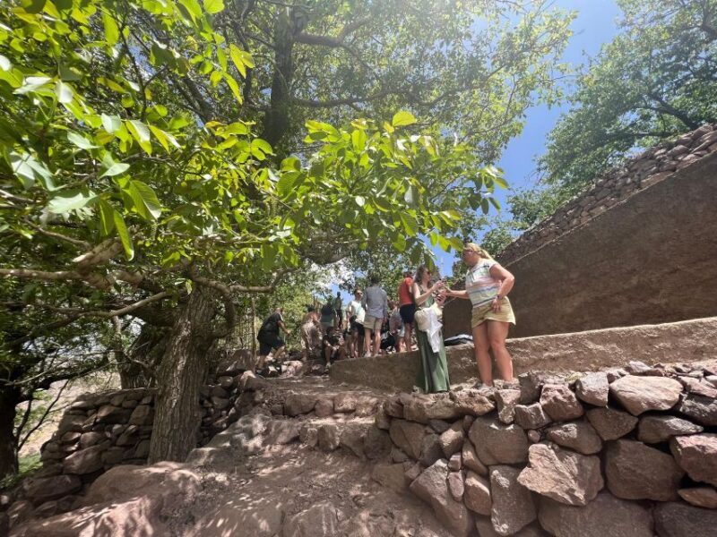 Cooking in the Mountains: A Culinary Adventure in Imlil - Inclusion Details