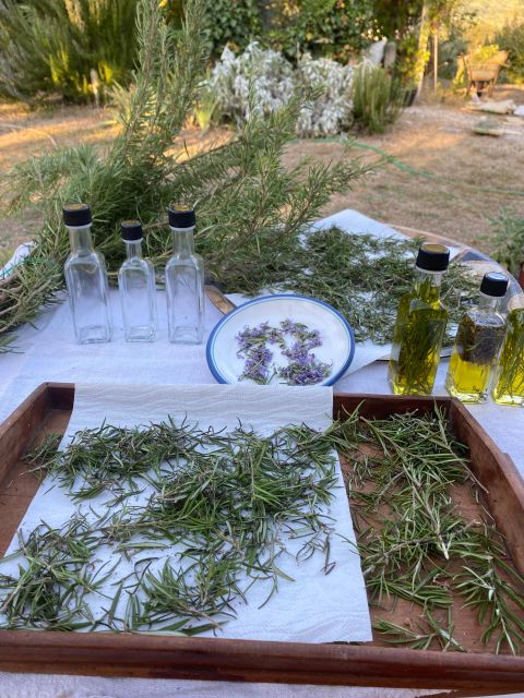 Cooking on the Hills - Group Size and Duration