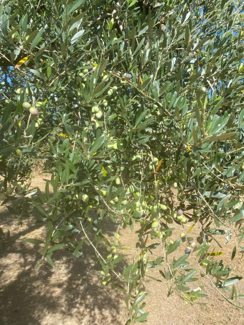 Cooking on the Hills - Frequently Asked Questions