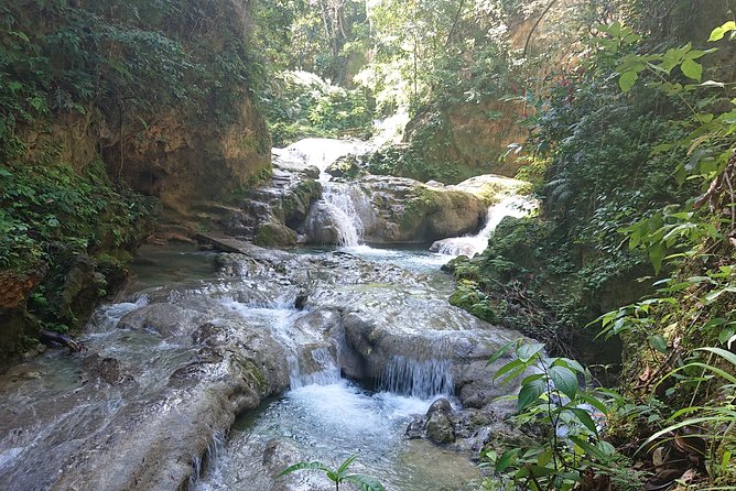Cool Blue Hole Ocho Rios - Dietary Requirements