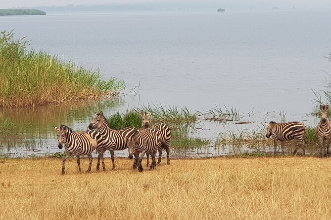 Cool Share Day Akagera Game Drive, Daily Depart, Boat Ride, Lunch - Akagera Boat Ride