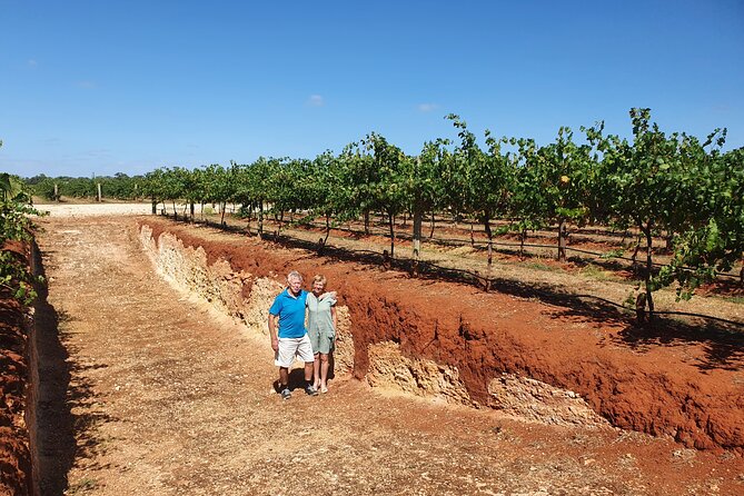 Coonawarra Half Day Wine Tour With Lunch - Pricing and Booking