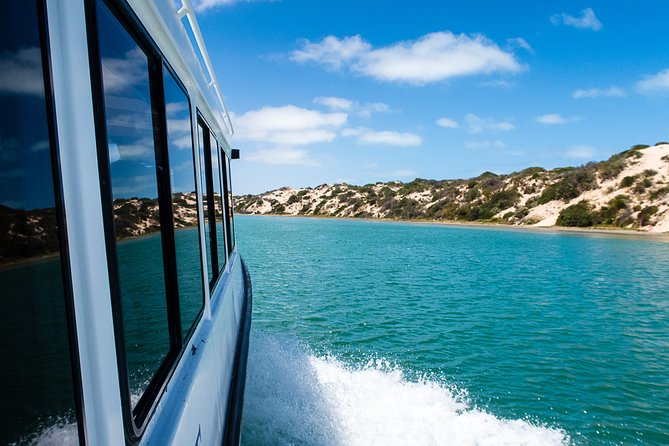Coorong 3.5-Hour Discovery Cruise - Expert Commentary and Local Guides