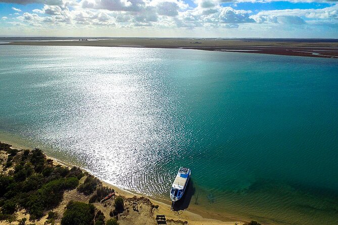 Coorong 3.5-Hour Discovery Cruise - Tour Group Size and Physical Requirements