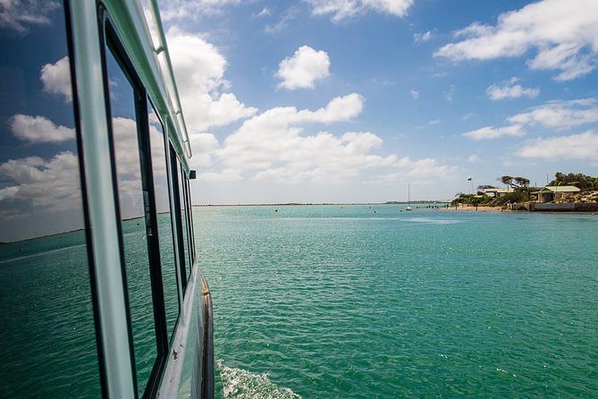 Coorong 6-Hour Adventure Cruise - Physical Fitness Requirement