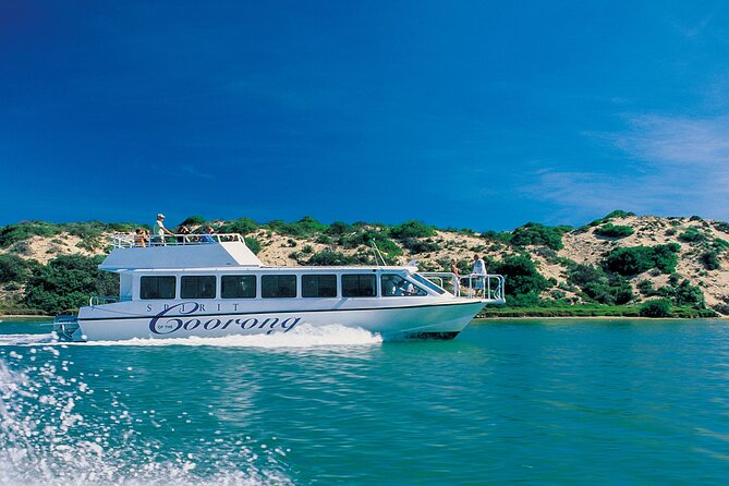 Coorong 6-Hour Adventure Cruise - Maximum Travelers