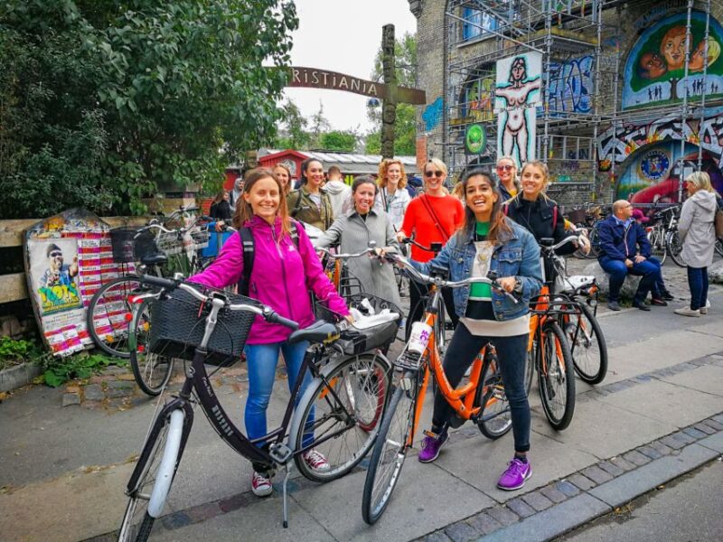Copenhagen: 3 Hour Private Bike Tour - Meeting and Logistics