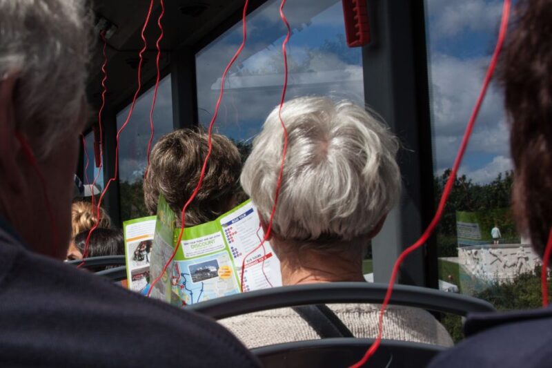 Copenhagen: 48-Hour Hop-On Hop-Off Bus (All Lines) - Good To Know