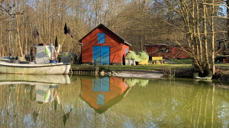 Copenhagen: Castles of North Zealand Day Tour - Transportation and Guides