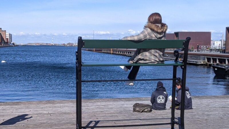 Copenhagen: City Highlights Self-guided Tour - Meeting Point and Language Options