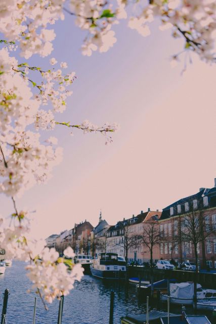 Copenhagen: Danish-Jewish History Tour - Historical Significance