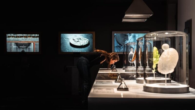 Copenhagen: Home of Carlsberg Experience Entry Ticket - Additional Activities