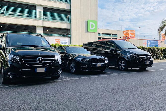 Copenhagen Hotel/Address to Copenhagen Port - Departure Private Transfer - Key Points