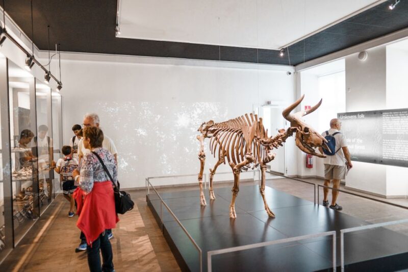 Copenhagen: National Museum of Denmark Entry Ticket - New Viking Exhibition