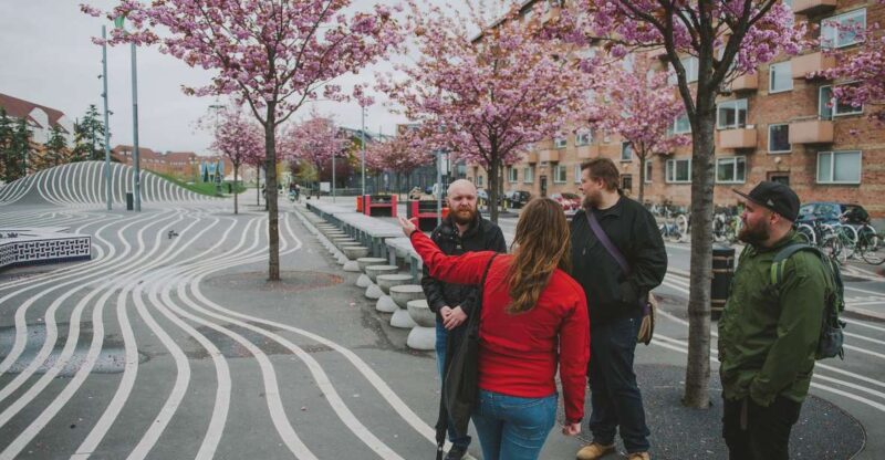 Copenhagen: Nørrebro Neighborhood Tour - Tour Duration and Group Size