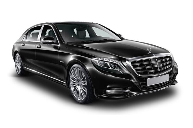 Copenhagen Port, Airport & City Private Transfer - Accessibility and Amenities