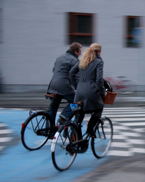 Copenhagen Private 3h Biking Tour - Exploring Historical Sites