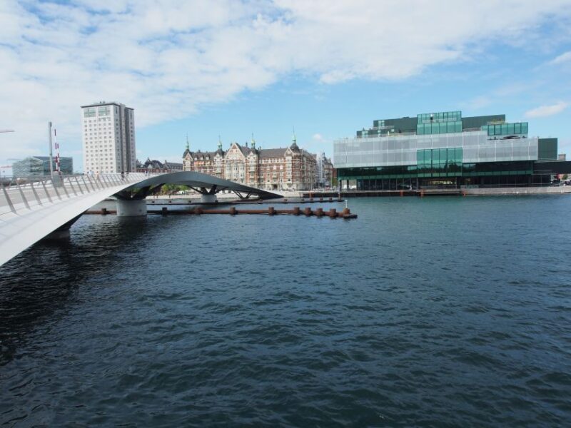 Copenhagen: Private Architecture Tour With a Local Expert - Good To Know