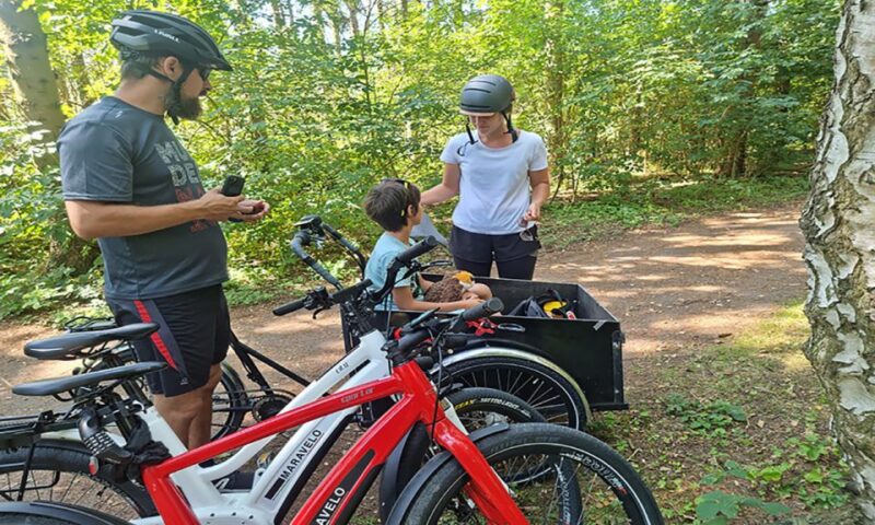 Copenhagen: Private Forgotten Giants E-Bike Treasure Hunt - Equipment and Inclusions