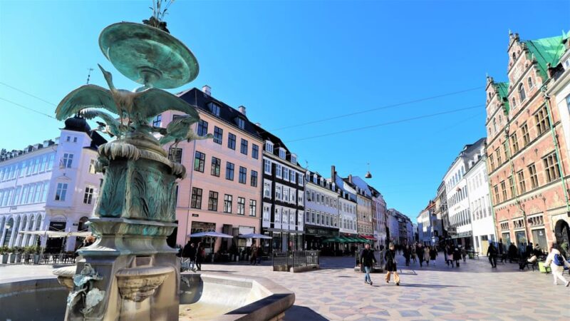 Copenhagen: Public 2-Hour Guided Walking Tour in French - Tour Highlights