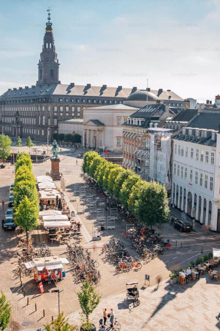 Copenhagen: Public 2-Hour Guided Walking Tour in French - Meeting Point
