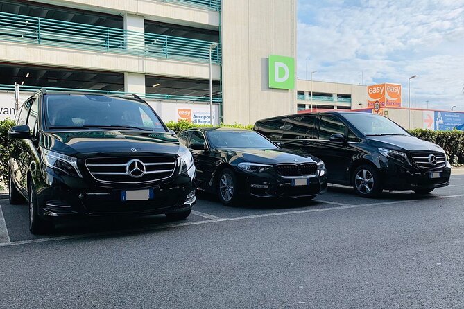 Copenhagen Roskilde Airport (RKE) to Copenhagen - Round-Trip Private Transfer - Cancellation Policy