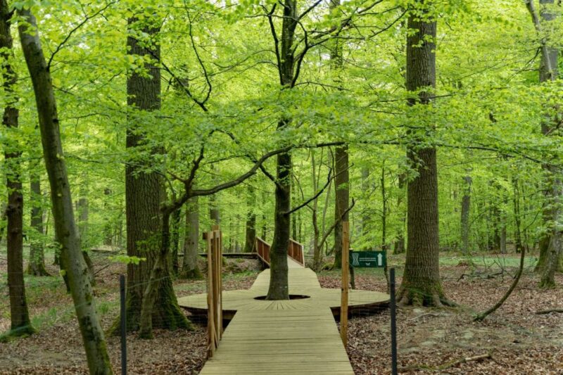 Copenhagen: The Forest Tower & Forgotten Giants Trolls Trip - Customer Feedback and Ratings