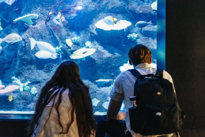 Copenhagen: Tivoli Gardens Entry Ticket - Cancellation and Refund Policy