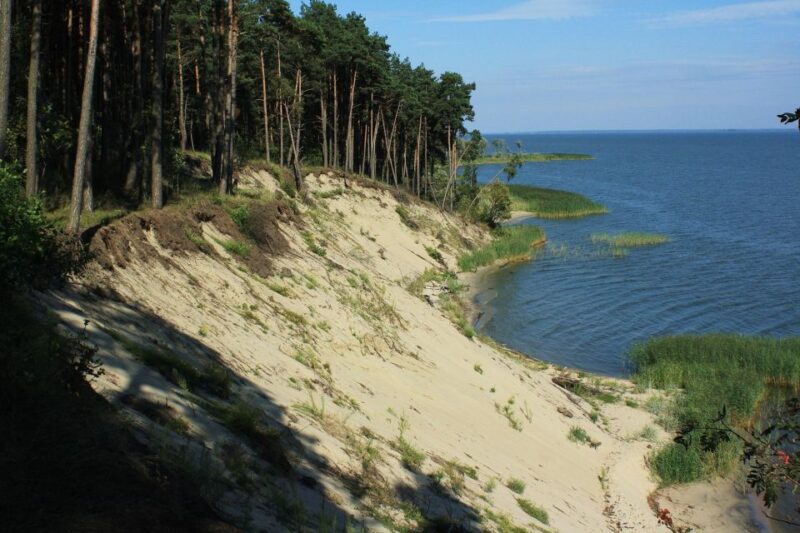 Copernicus Trail in Frombork Private Tour From Gdansk by Car - Traditional Arcaded Houses and Vistula Lagoon