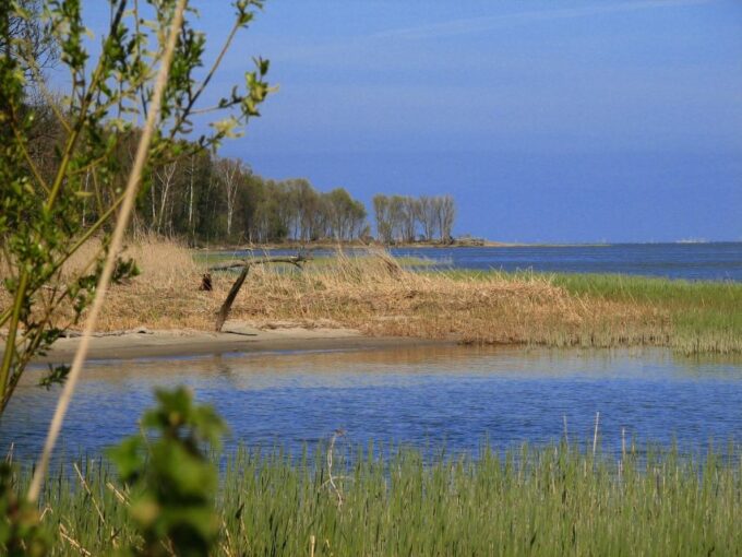 Copernicus Trail in Frombork Private Tour From Gdansk by Car - Important Information for Guests