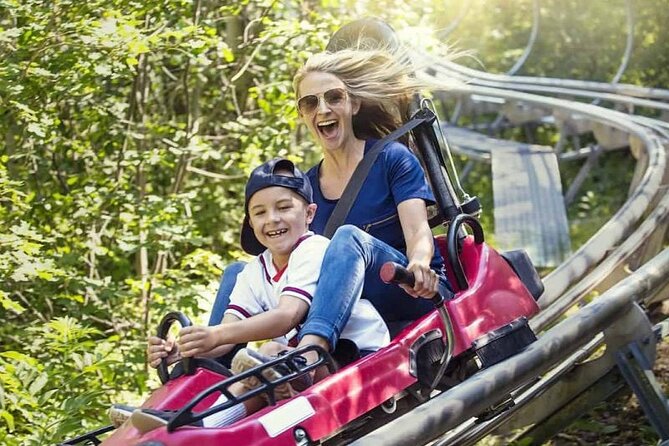 Copperhead Mountain Coaster - Key Points