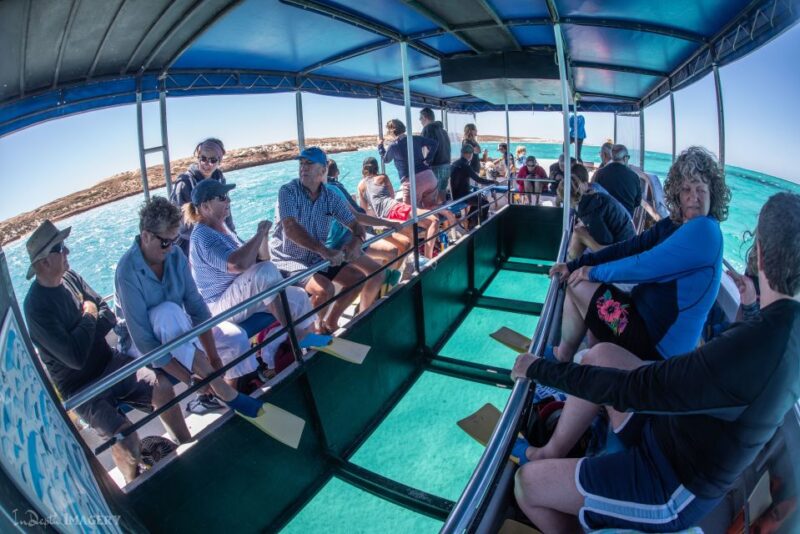 Coral Bay: 2-Hour Coral Viewing and Snorkeling - Activity Details