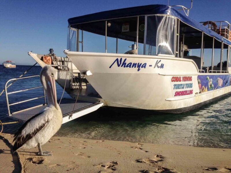 Coral Bay Glass-Bottom Boat Tour - Meeting Information