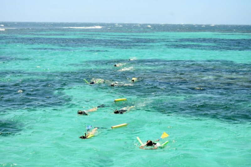 Coral Bay: Ningaloo Reef 3-Hour Turtle Ecotour - Key Points