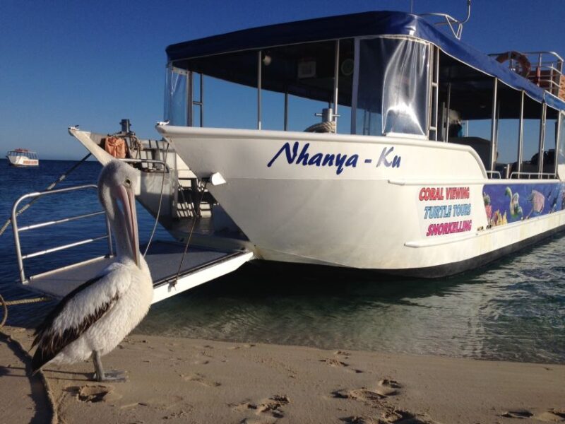 Coral Bay: Ningaloo Reef 3-Hour Turtle Ecotour - Booking Information