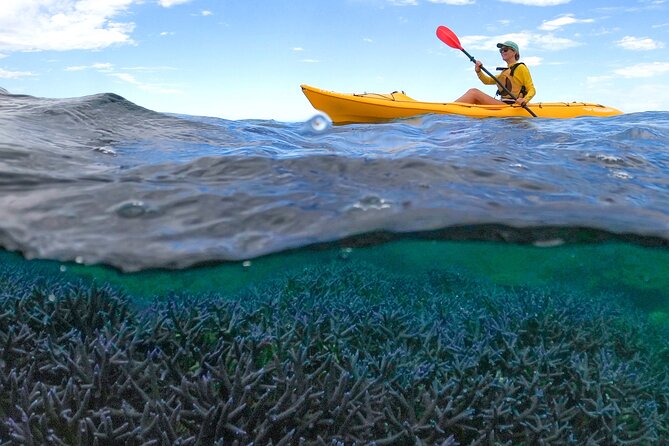 Coral By Kayak - Ningaloo Reef Half Day Kayak & Snorkel Tour - Kayaking and Snorkeling