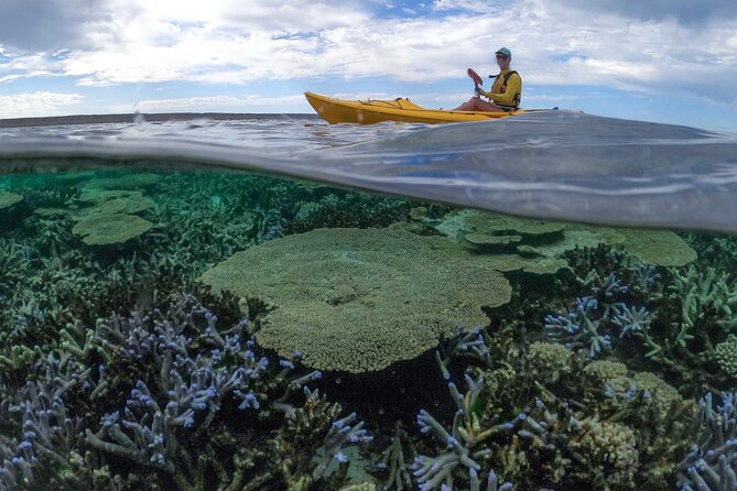 Coral By Kayak - Ningaloo Reef Half Day Kayak & Snorkel Tour - Included Amenities