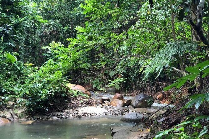 ''Coral Coast Adventure: Biausevu Waterfall & Natadola Beach !'' - FAQs