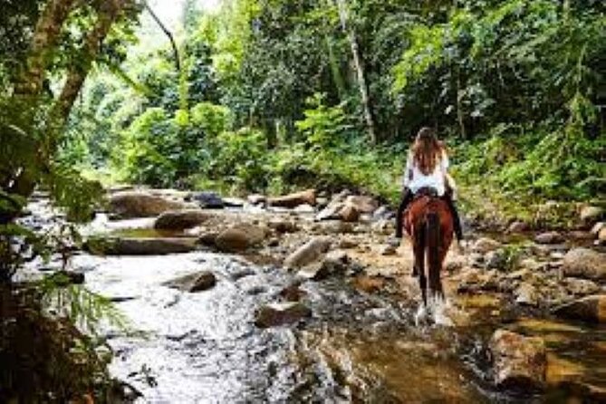 Coral Coast Adventure: Biausevu Waterfall & Natadola Beach ! - Cancellation and Booking Policy