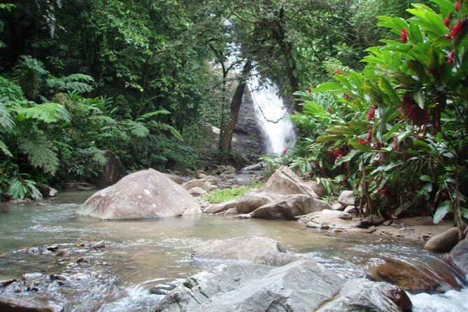 Coral Coast Adventure: Biausevu Waterfall & Natadola Beach ! - Reviews