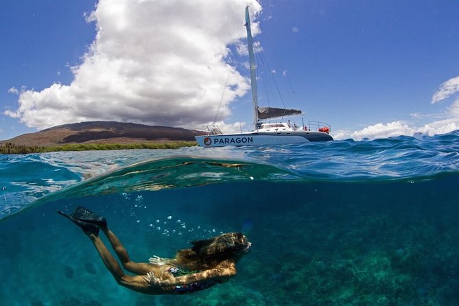 Coral Gardens Snorkel & Whale Watch - Key Points