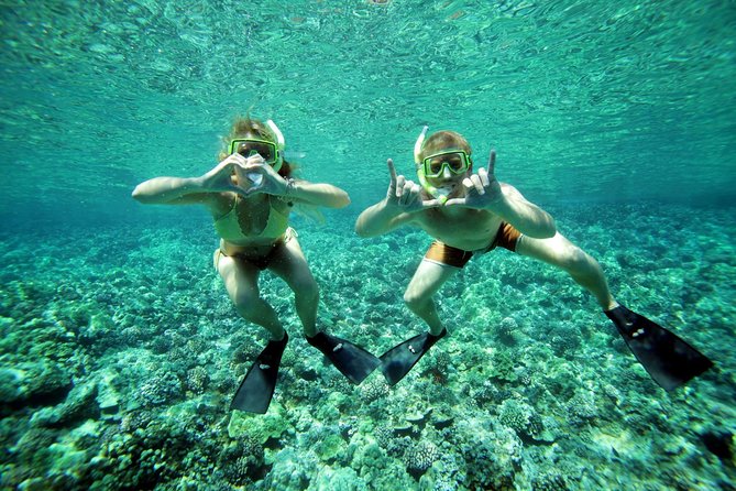Coral Gardens Snorkel & Whale Watch - Pricing and Cancellation Policy